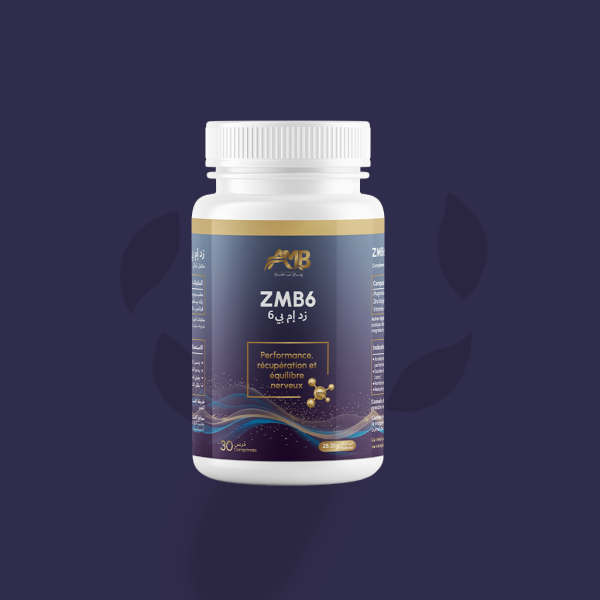 AMB ZMB6